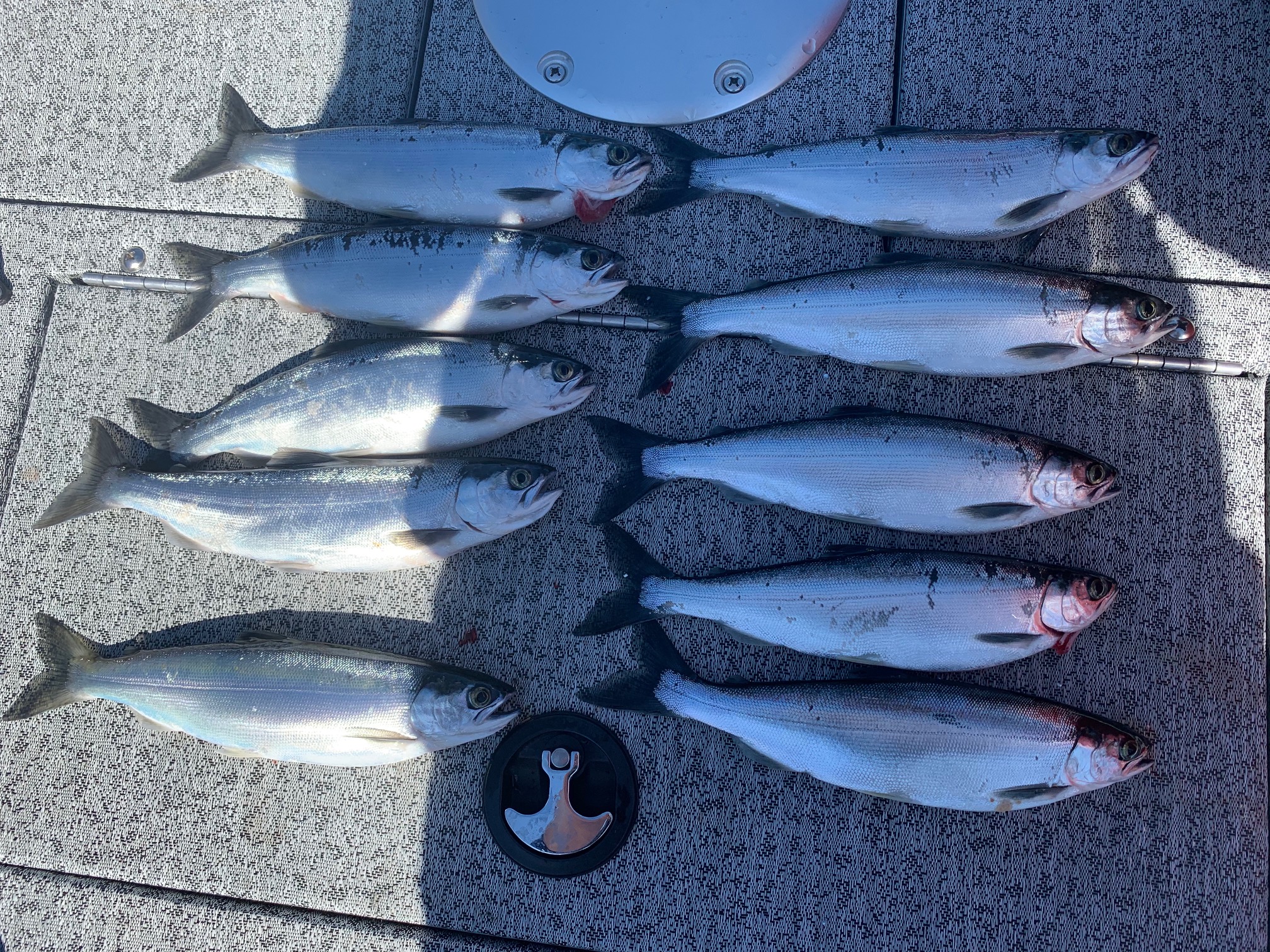 2020 Kokanee Fishing Season